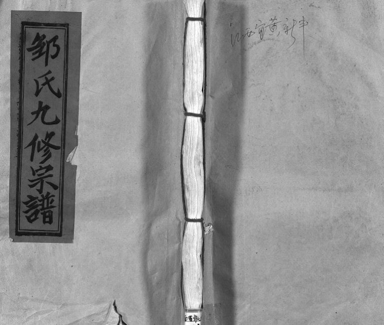 1996年邹氏九修宗谱[残卷]江西新建 广昌 宁都邹姓电子版族谱下载