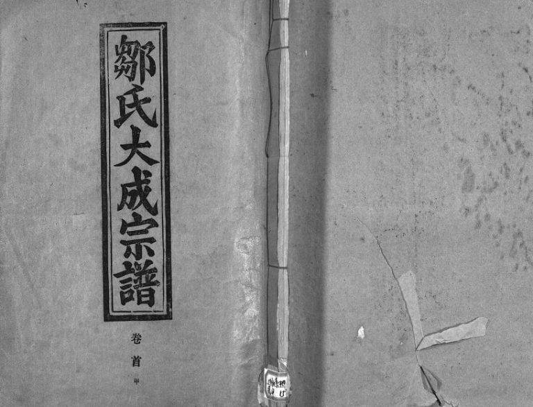 1989年修邹氏大成宗谱 江西瑞昌 奉新东鲁堂邹姓电子版族谱下载
