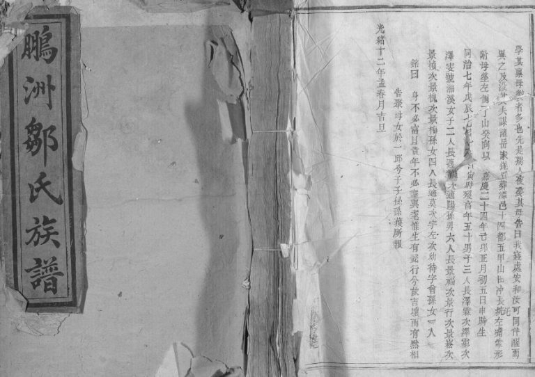 1886年修鹏洲邹氏族谱[不分卷]江西乐安邹姓电子版家谱下载