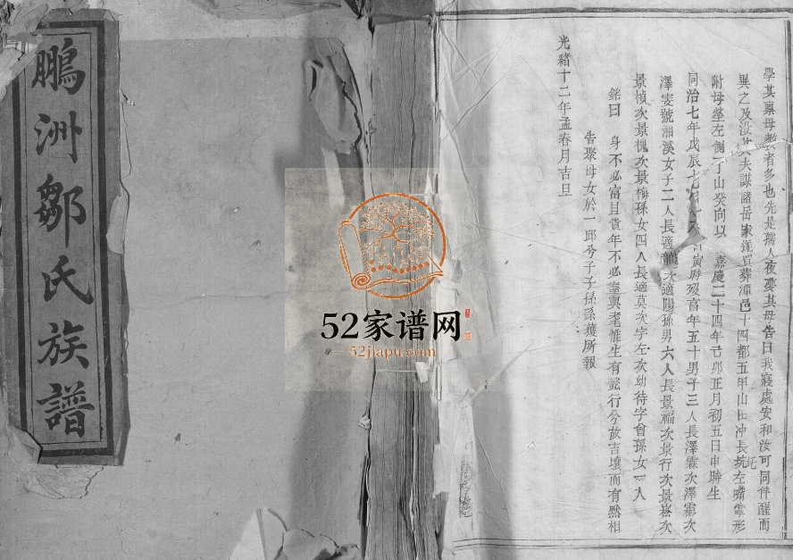1886年修鹏洲邹氏族谱[不分卷]江西乐安邹姓电子版家谱下载