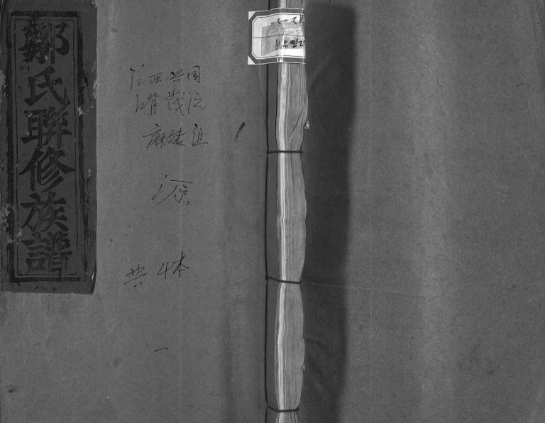 1996年邹氏联修族谱[不分卷]江西兴国 永丰 吉安 福建长汀江西兴国范阳堂邹姓电子版家谱下载