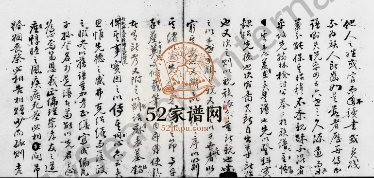 清末岭南蔡氏族谱 广东蔡姓电子版家谱下载