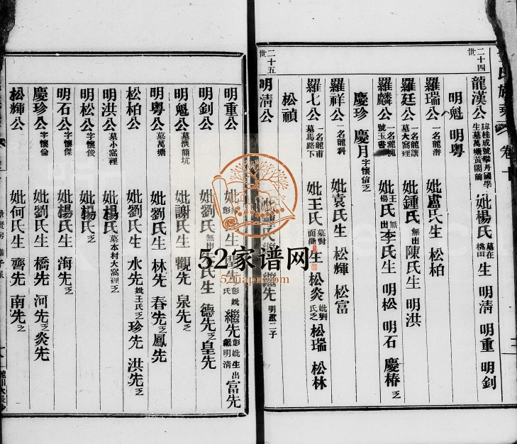 清末潮阳辟望蔡氏族谱 广东余庆堂蔡姓电子版家谱下载