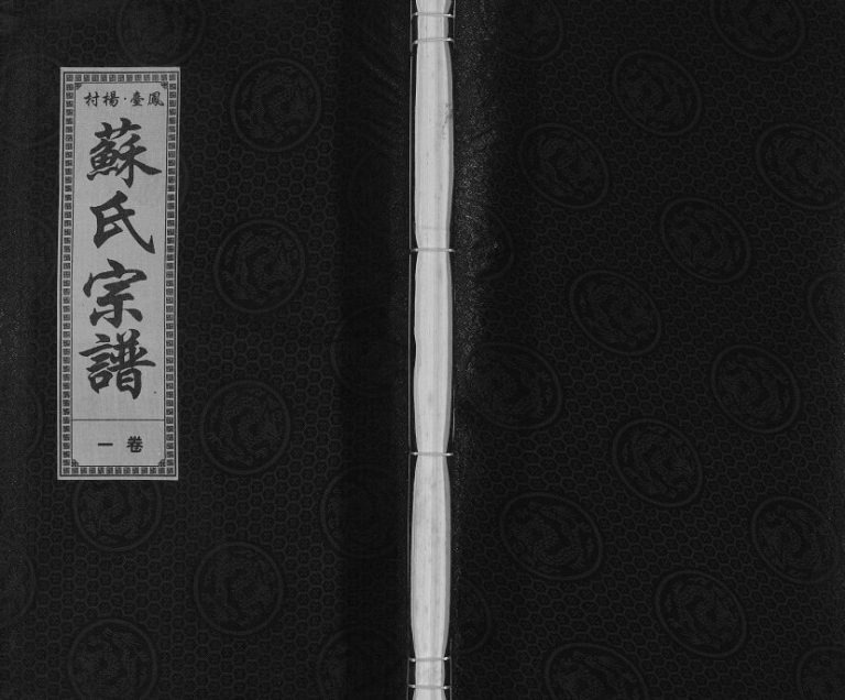 2014年修凤台杨村苏氏宗谱 安徽敦厚堂苏姓电子版族谱下载