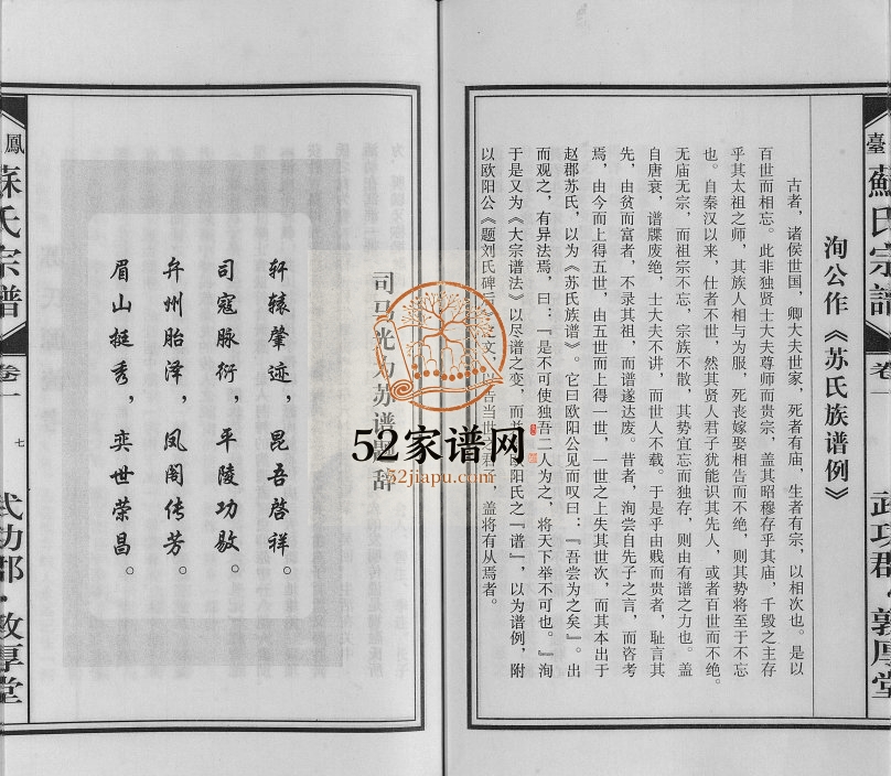 2014年修凤台杨村苏氏宗谱 安徽敦厚堂苏姓电子版族谱下载