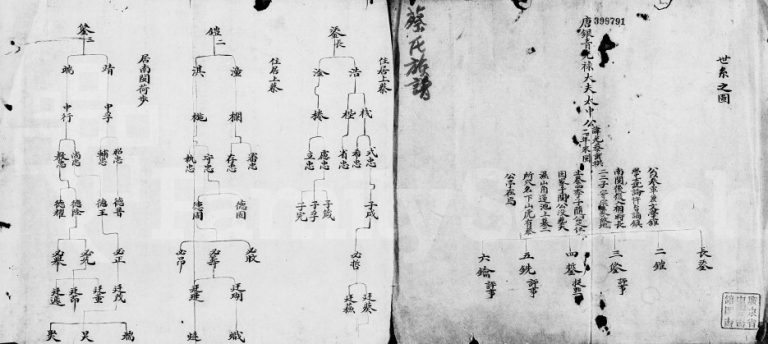 蔡氏族谱 广东潮阳蔡姓电子版家谱下载