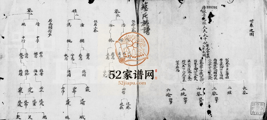 蔡氏族谱 广东潮阳蔡姓电子版家谱下载