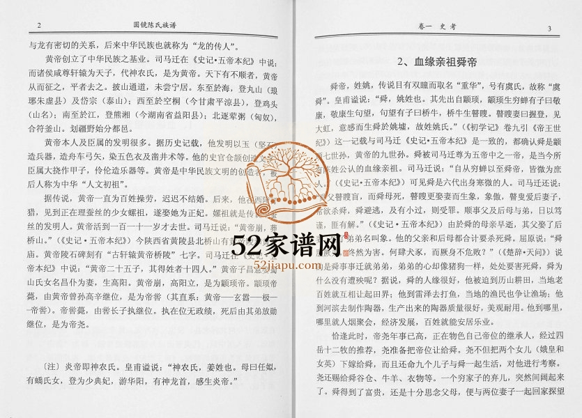 2006年修圆镜陈氏族谱 广东普宁陈姓电子版家谱下载
