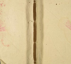 1928年修颖川陈氏宗谱 广东深圳颍川堂陈姓电子版族谱下载