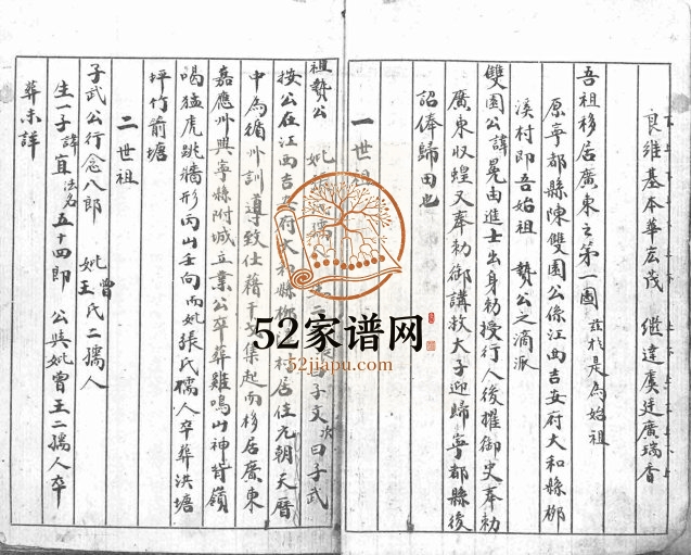 陈氏族谱 广东兴宁 深圳陈姓电子版家谱下载