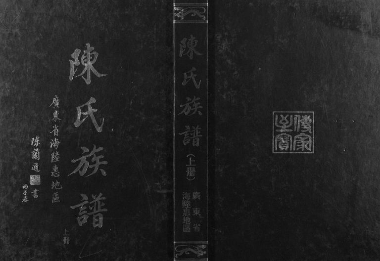 1997年修广东省海陆惠地区陈氏族谱[上下卷]广东陆河陈姓电子版家谱下载