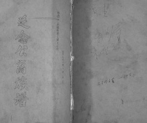 1992年修陈氏族谱[不分卷]广东和平陈姓电子版家谱下载