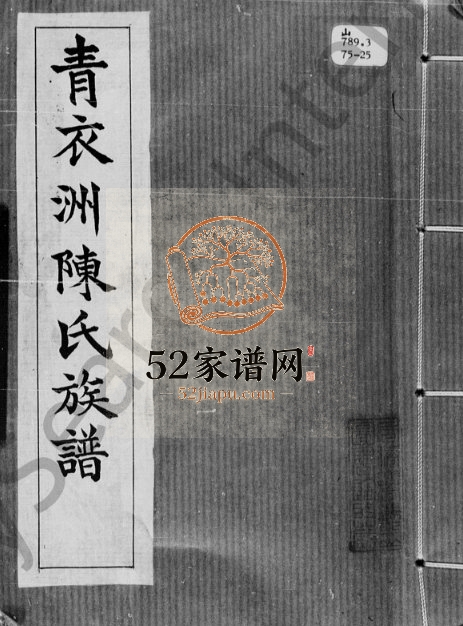 1925年修青衣洲陈氏族谱 香港陈姓电子版家谱下载