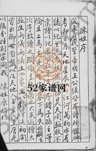 1925年修青衣洲陈氏族谱 香港陈姓电子版家谱下载