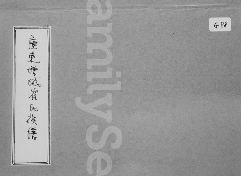 广东增城崔氏族谱 广东崔姓电子版家谱下载