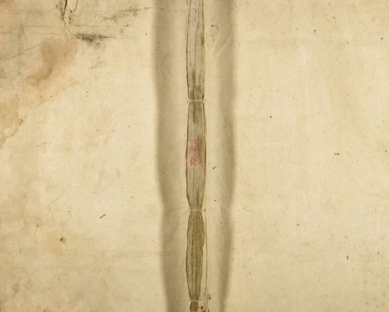 1909年修傅氏族谱 广东乳源傅姓电子版家谱下载