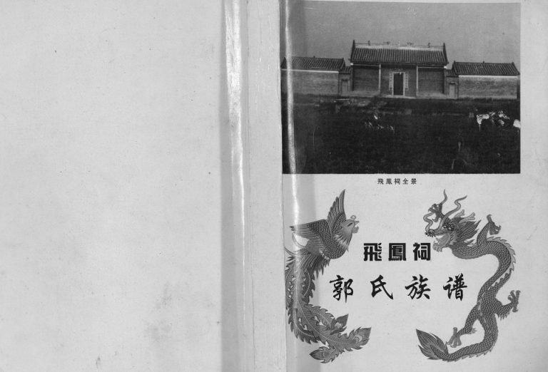 2000年修飞凤祠郭氏族谱[不分卷]广西怀集郭姓电子版家谱下载