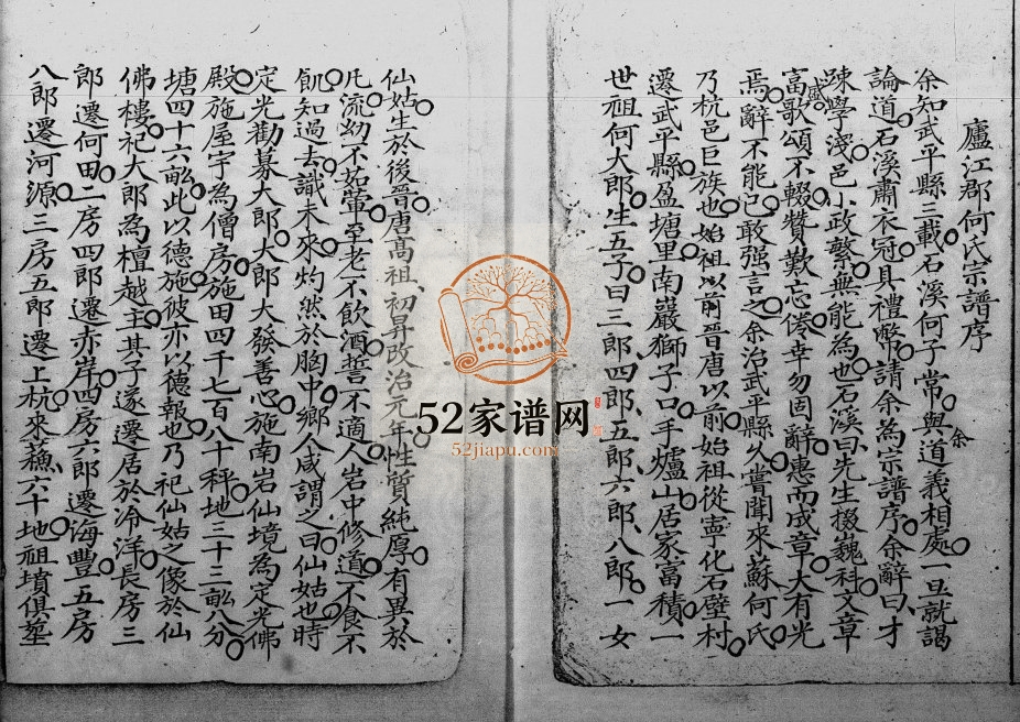 [何氏]庐江郡宗谱 广东深圳 香港何姓电子版族谱下载