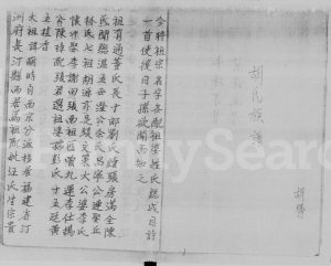 1956年修胡氏族谱元朗田心村 广东揭扬 香港胡姓电子版家谱下载