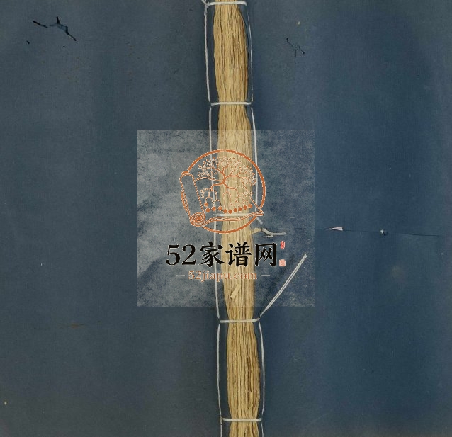 1915年修[许氏族谱] (王荆公所见王临川文集七十一卷) 广东新会许姓电子版家谱下载