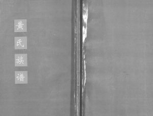 1993年修黄氏族谱 广东饶平黄姓电子版家谱下载