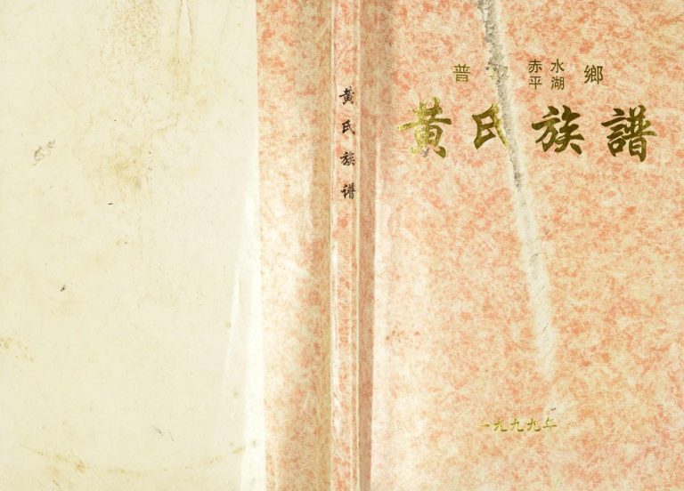 1999年修普宁赤水平湖乡黄氏族谱 广东黄姓电子版家谱下载