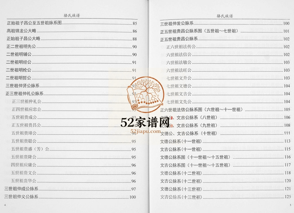 1999年修骆氏族谱[不分卷]广东龙川骆姓电子版家谱下载
