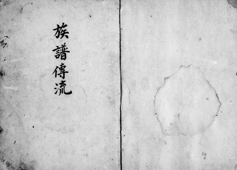 1951年修[姜氏]族谱传流 广东陆丰 台湾新竹姜姓电子版家谱下载