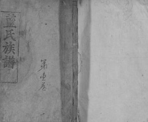 1860年修蓝氏族谱[6卷首1卷]江西 福建 广东乳源汝南堂蓝姓电子版家谱下载