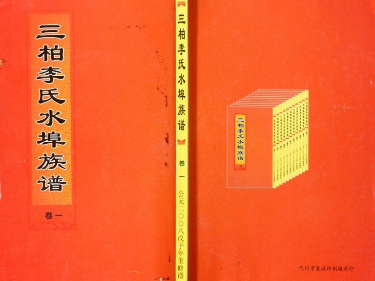 2008年修三柏李氏水埠族谱[11卷]李姓电子版家谱下载
