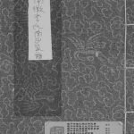 2008年修南徽李氏南沙祖家谱 广东澄海 河南南阳李姓电子版族谱下载