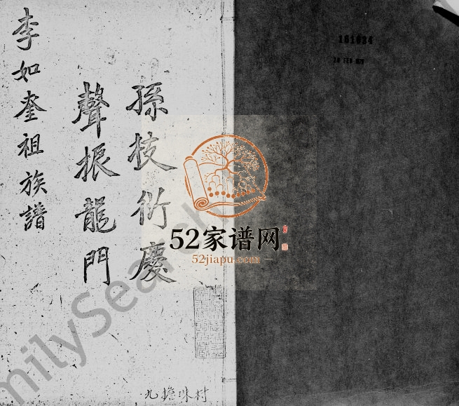 1946年宝安县乌蛟腾李氏族谱 深圳 香港李姓电子版家谱下载