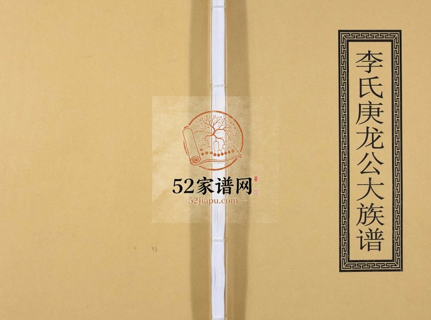 2016年修李氏庚龙公大族谱 广东佛山 福建上杭李姓电子版家谱下载