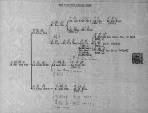 1957年修沙螺洞李姓族谱李氏 广东深圳 香港李姓电子版家谱下载