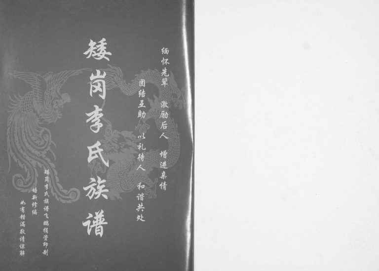 2012年修矮岗李氏族谱 广东龙川 白云李姓电子版家谱下载