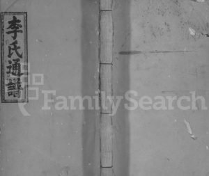 1924年陇西李氏续修族谱[不分卷]广东始兴陈成德堂李姓电子版家谱下载