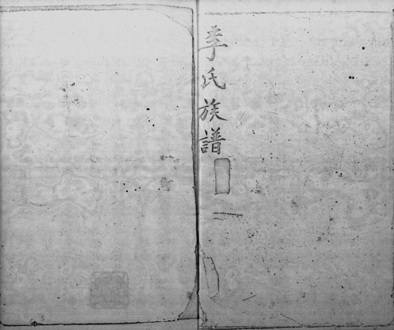 1966年修李氏族谱 广东深圳 香港李姓电子版家谱下载