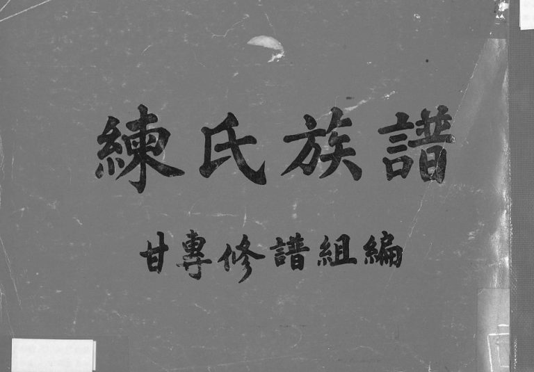1991年修练氏族谱[不分卷]广东梅县练姓电子版家谱下载