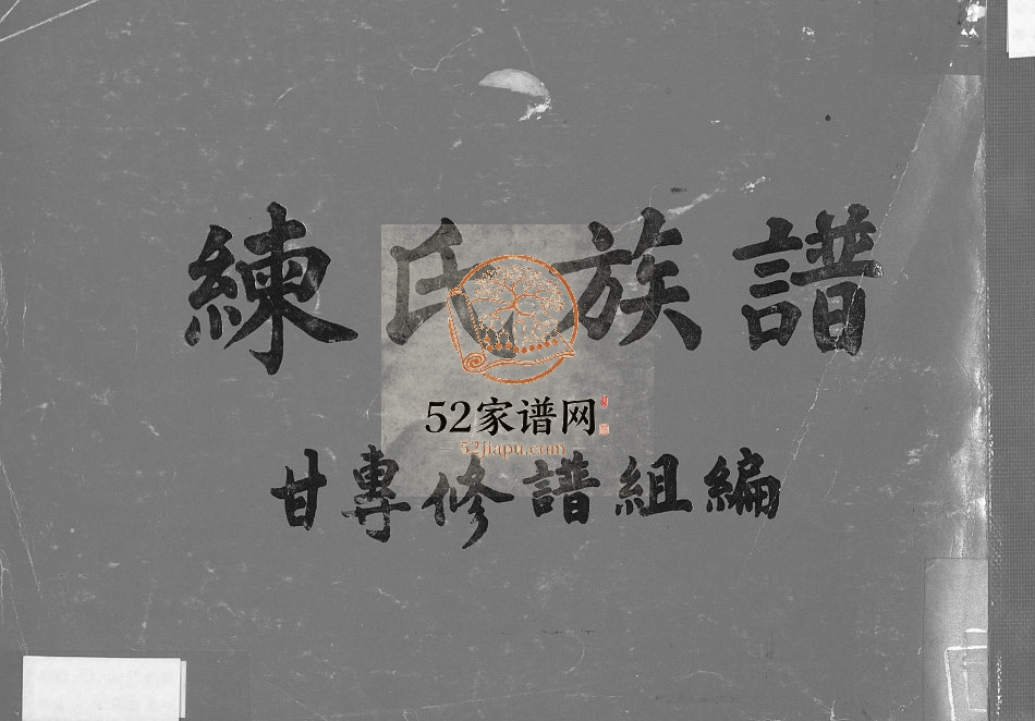 1991年修练氏族谱[不分卷]广东梅县练姓电子版家谱下载