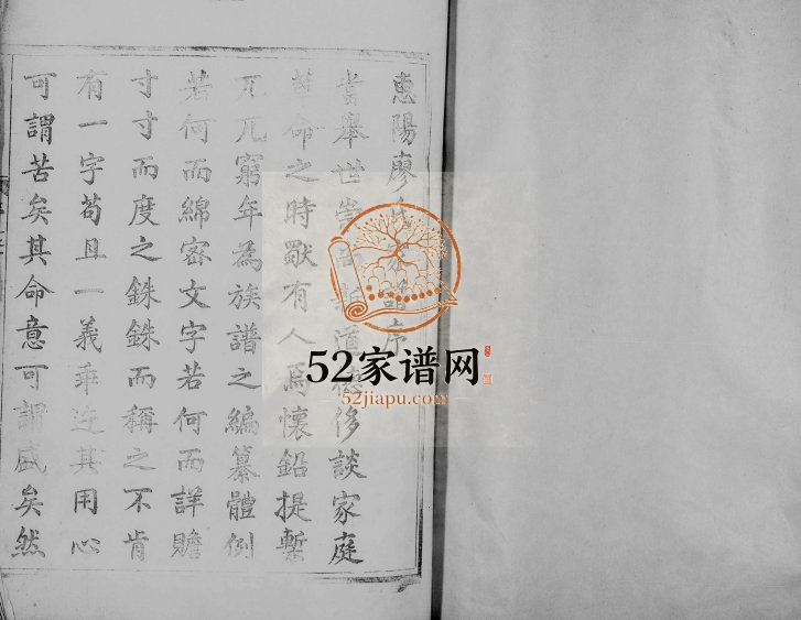 1925年修惠阳廖氏家谱[2卷]广东廖姓电子版族谱下载