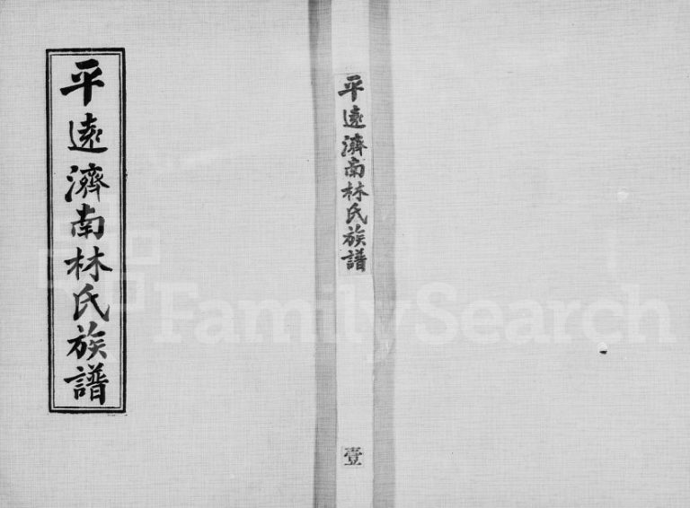 1981年修平远济南林氏族谱[24卷]广东 台湾 全国林姓电子版家谱下载