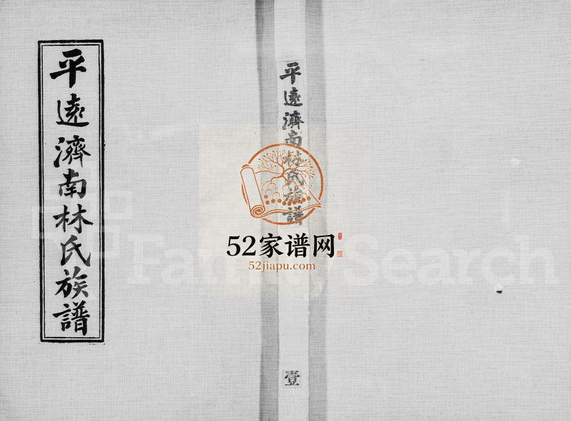 1981年修平远济南林氏族谱[24卷]广东 台湾 全国林姓电子版家谱下载