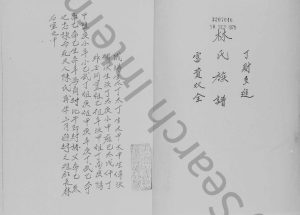 1980年修九龙竹园村林氏族谱 广东 香港林姓电子版家谱下载