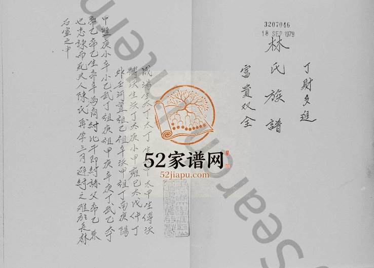 1980年修九龙竹园村林氏族谱 广东 香港林姓电子版家谱下载