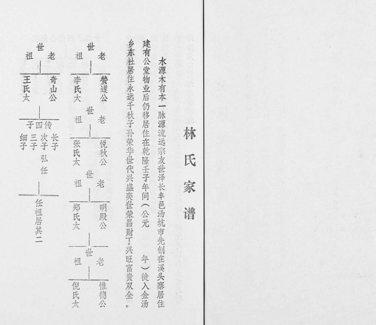 1964年修林氏元丰家谱 广东丰顺林姓电子版族谱下载