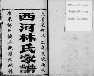1886年修西河林氏家谱 广东蕉岭林姓电子版族谱下载