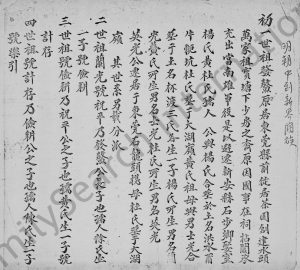 新界屯门林氏族谱 广东深圳 香港林姓电子版家谱下载