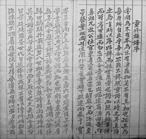 1875年修[林氏]屏山乡石埔村族谱 广东深圳 香港林姓电子版家谱下载