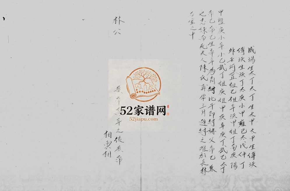 1817年修林氏族谱 广东深圳 香港林姓电子版家谱下载
