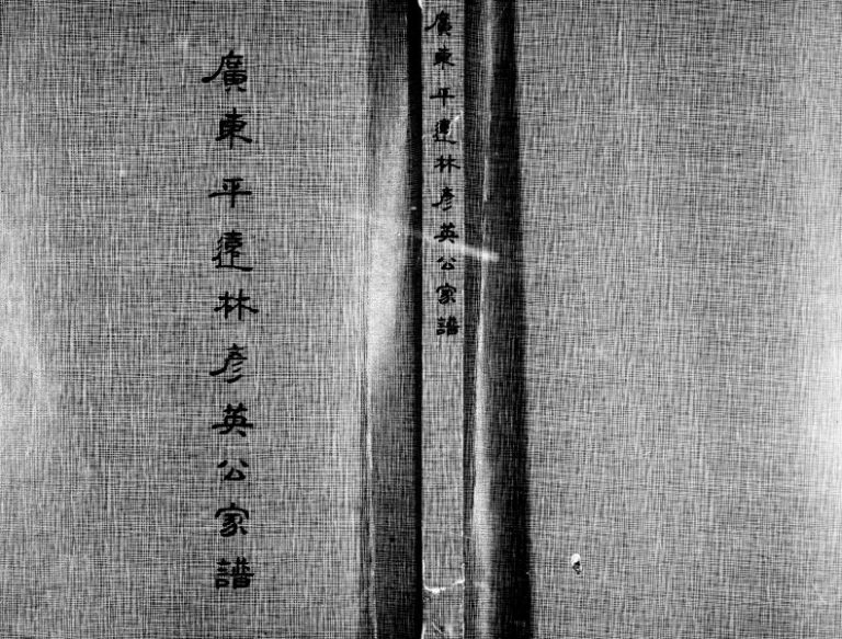 1976年修广东平远林彦英公家谱[4卷]台湾桃园 新竹电子版族谱下载